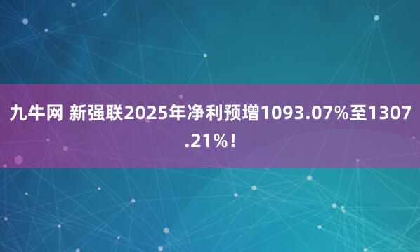 九牛网 新强联2025年净利预增1093.07%至1307.21%！