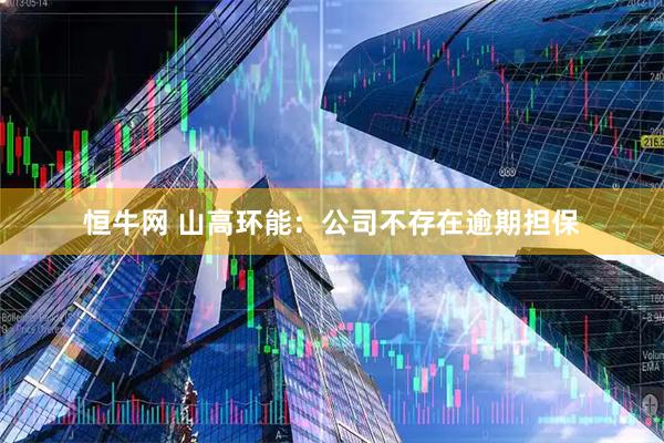 恒牛网 山高环能:公司不存在逾期担保