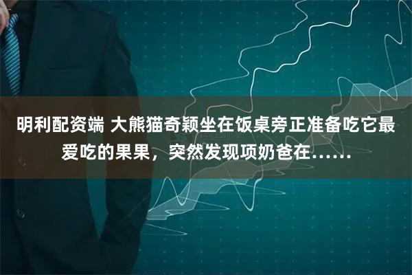 明利配资端 大熊猫奇颖坐在饭桌旁正准备吃它最爱吃的果果，突然发现项奶爸在……